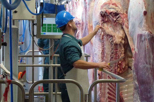 Zurzeit liegt zwischen der Probenahme bei der Schlachtung und der Analyse oft ein mehrwöchiger Zeitraum, sodass dann auch das zu stark mit PFAS belastete Fleisch längst verkauft ist. - 1