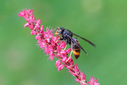 AdobeStock_1728635531